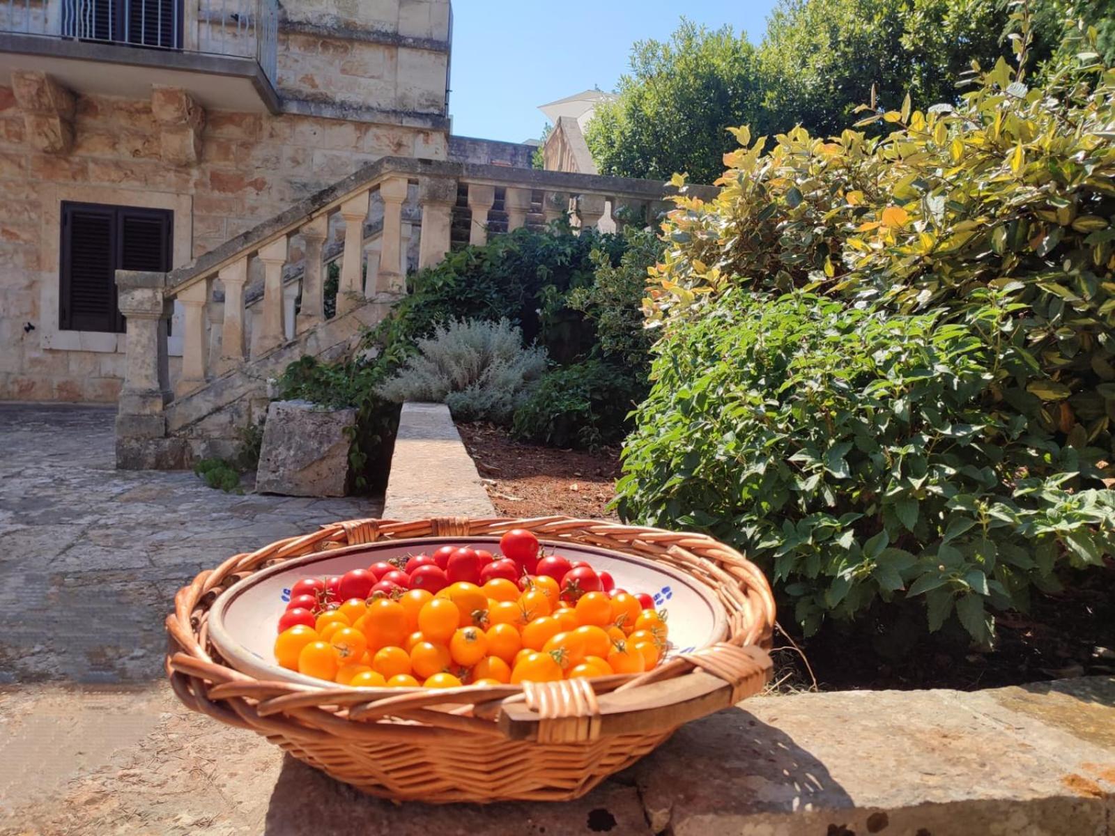 Villa Ostuni 莫诺波利 外观 照片