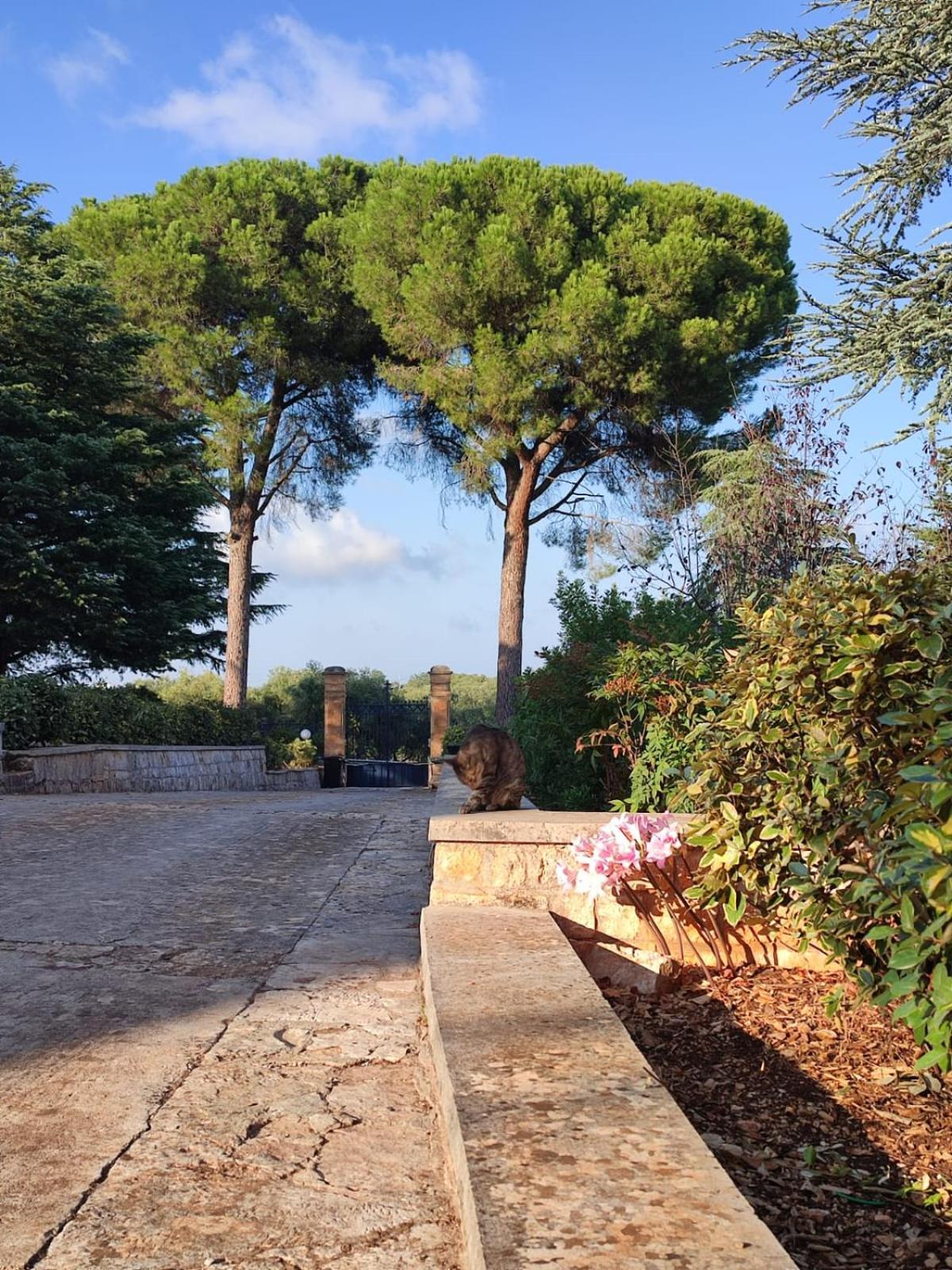 Villa Ostuni 莫诺波利 外观 照片